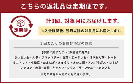 生産者応援 採れたて新鮮 旬のお野菜 詰め合わせセット