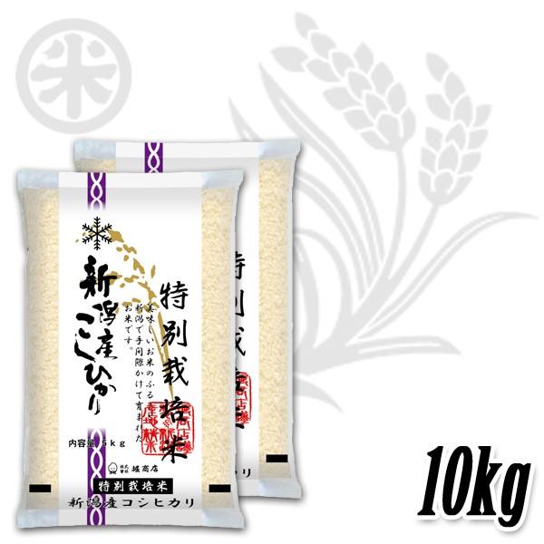 [新米 令和5年産] 新潟産コシヒカリ 特別栽培米 10kg (5kg×2袋) 減農薬 減化学肥料 新潟米 こしひかり お米 白米 送料無料 ギフト対応