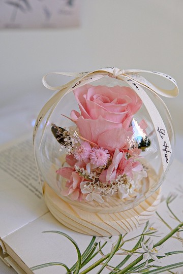 香草粉-永生花玻璃花球