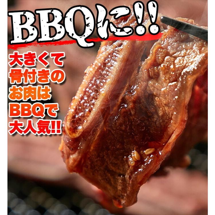 牛肉 肉 焼肉 骨付きカルビ 約5kg  BBQ バーべキュー 赤身肉 送料無料