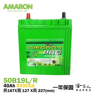 AMARON 愛馬龍 銀合金 汽車電池 PRO 50B19L NS40 WISH TERCEL 38B19L 哈家人