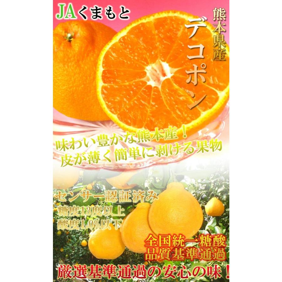 デコポン みかん 熊本県産 4〜6玉  しらぬひ 贈答規格 化粧箱入り JAくまもと 光センサー選果 糖度13度以上限定 糖度保証 栽培適地で育てた本場の美味しさ