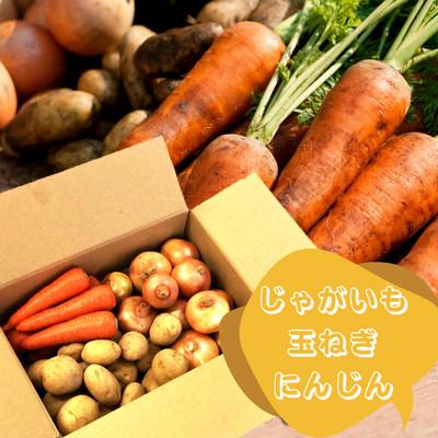 ふるさと納税 雲仙市 季節の野菜セット　冬限定品 計5kg