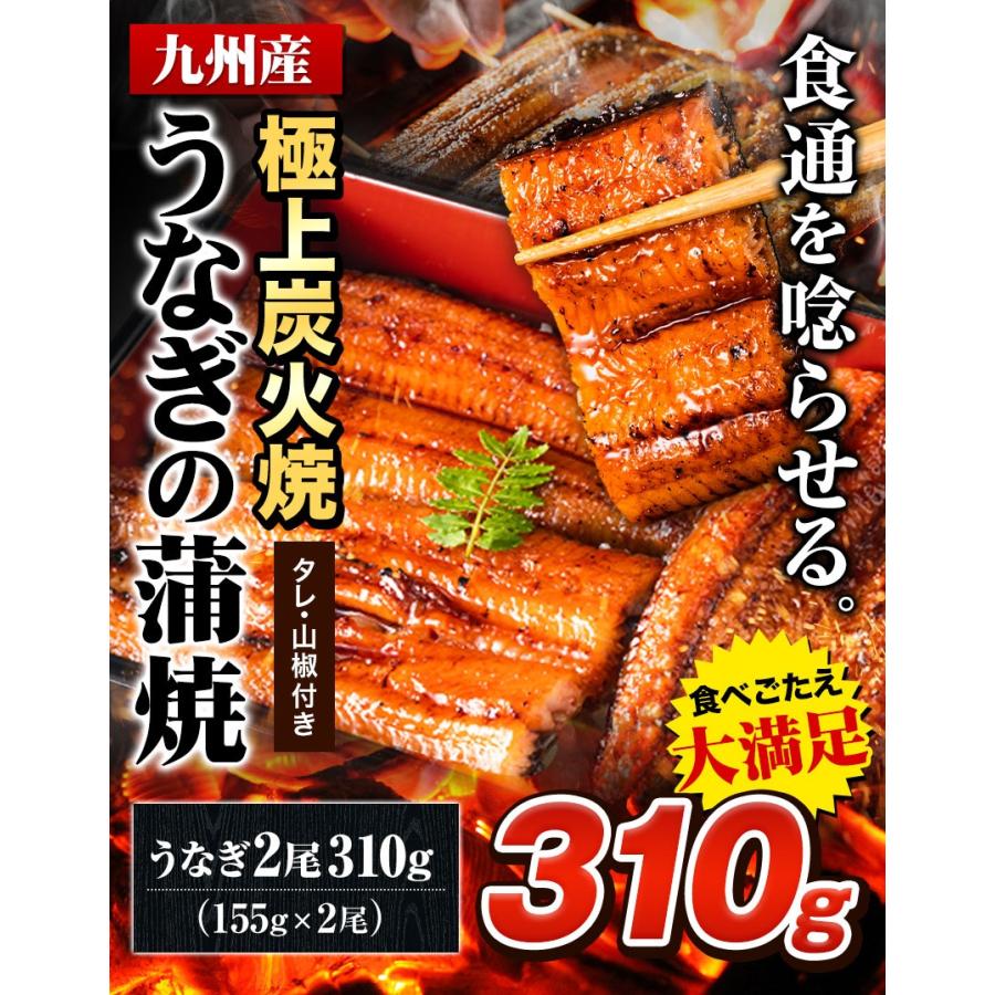 うなぎ 国産 蒲焼 蒲焼き 1尾155g以上 合計310g 鰻 九州産 ウナギ 鰻 ギフト 贈り物 九州 冷凍 1-5営業日以内に出荷予定(土日祝除)