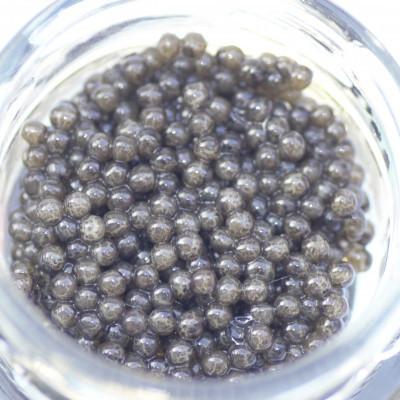 ふるさと納税 日向市 日向キャビア(Hyuga Caviar)20g (冷凍・フレッシュキャビア)