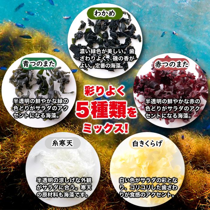 ふえる海藻 大容量 5g×30包 ザル不要 小分け 海藻サラダ 海藻ミックス 5種入り 乾燥 簡単