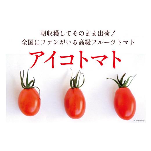 ふるさと納税 長崎県 島原市 AA001 全国にファンがいる高級フルーツトマト どっさり！アイコ 3kg