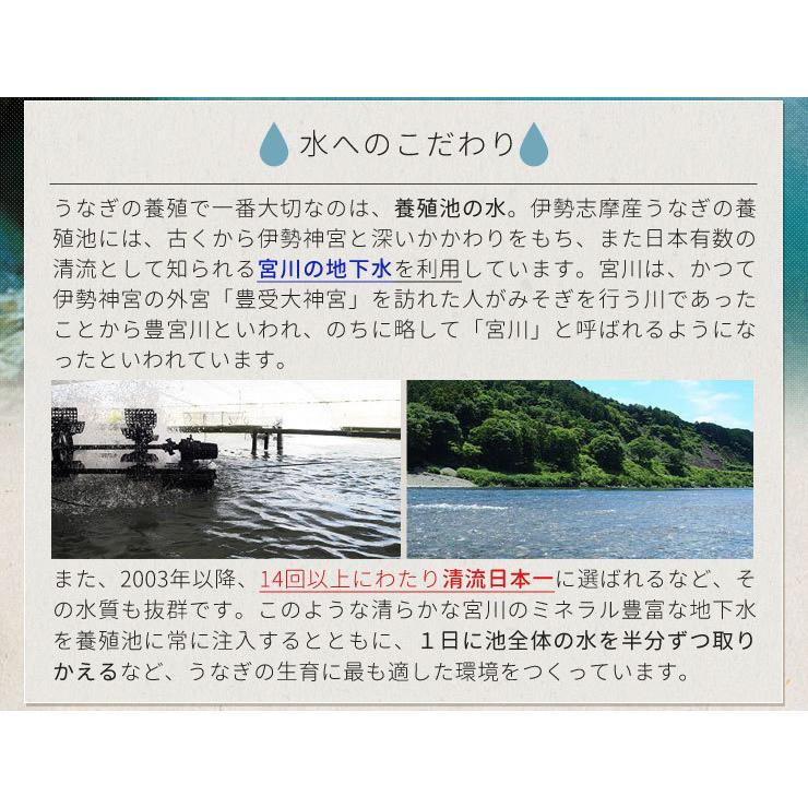 うなぎ 伊勢志摩産 白焼き 特大サイズ ４尾 送料無料 国産 ウナギ 鰻 蒲焼き 丑の日 個包装 冷凍 化粧箱入 お歳暮 ギフト