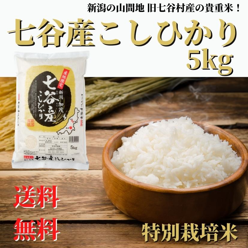 新米 令和５年産 お米 5kg 特別栽培米 七谷産 コシヒカリ 精米