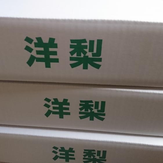 販売期間2023 12 15まで 果物 梨 ウインターネリス　5キロ　20〜25 産地直送