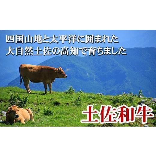 ふるさと納税 高知県 高知市 土佐和牛特選カルビ焼肉約500g 最高級A5 牛肉