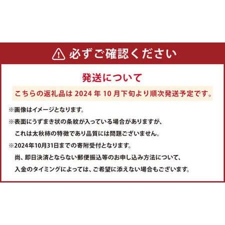 ふるさと納税 熊本県産 太秋柿 2kg 熊本県