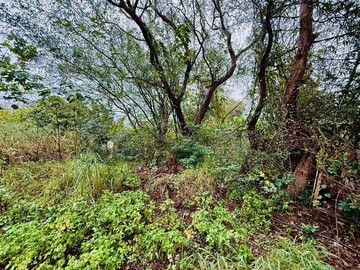 【超大面寬建地】四湖段138坪方正甲建｜31米大面｜桃園市楊梅區四湖段