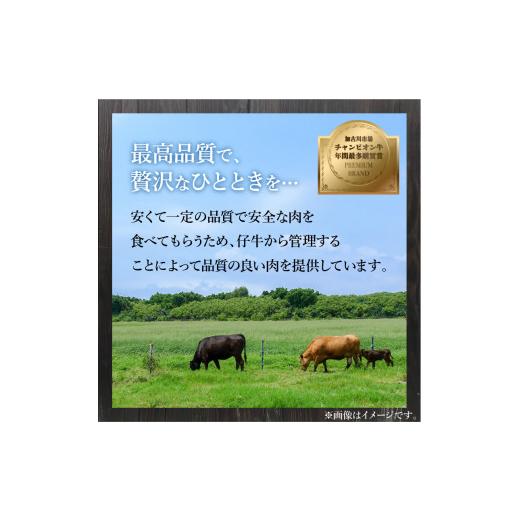 ふるさと納税 兵庫県 加古川市 「志方牛」サーロインステーキ（150g×3枚）