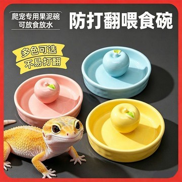 💥臺灣有貨🌈免運!💥爬寵防刨防灑陶瓷食碗守宮專用餵食器水盆不髒糧不溢水易打理