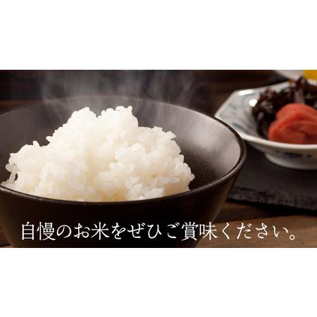 ふるさと納税  茨城県筑西市産 コシヒカリ5kg 米 コメ こしひかり 定期便6回 30kg 茨城県 単一米 精米 [CH006ci] 茨城県筑西市