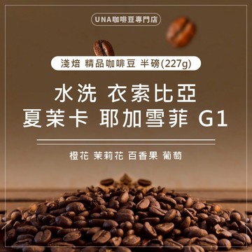 【烘焙前後人工挑除瑕疵豆】水洗 衣索比亞 夏茉卡 耶加雪菲 G1 咖啡豆 精品咖啡豆 半磅 227g 浸泡式咖啡包