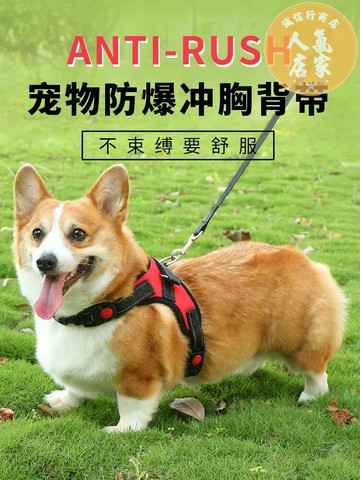 狗狗牽引繩/狗繩/狗鍊 柯基狗繩背心式寵物胸背帶夏季繩子中型犬外出遛狗用品