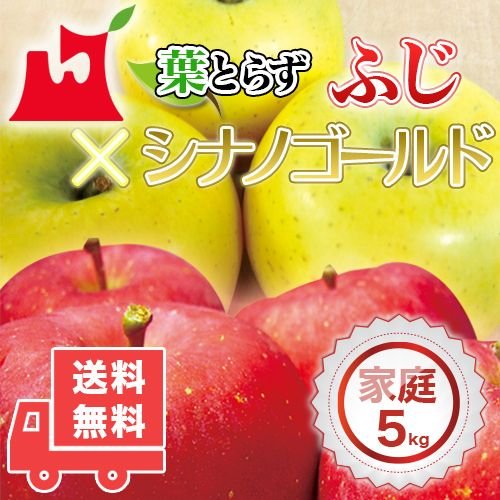 送料無料　青森県産　葉とらず　ふじ・シナノゴールドセット ご家庭用5kg　(約14〜18個)人気の訳ありリンゴ 青森産　訳あり　サンふじ