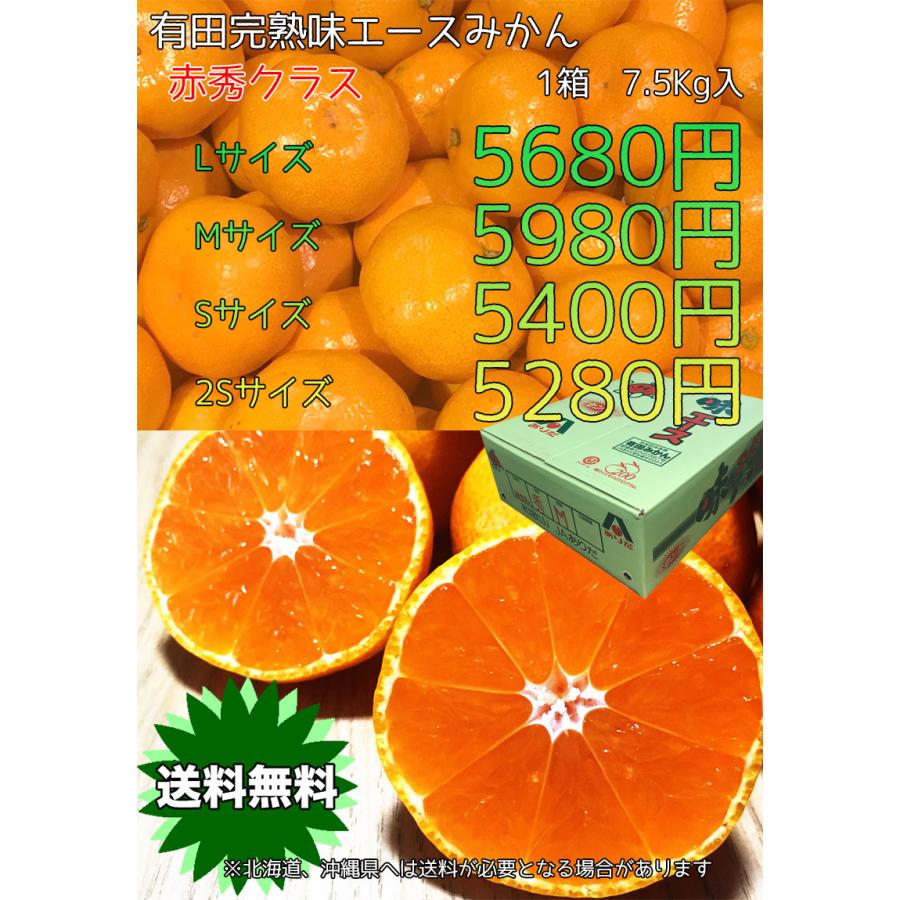 みかん 送料無料 小玉 有田 7.5Kg 和歌山県産 有田 完熟 味エース みかん 赤秀 Sサイズ 7.5kg 贈答用 お歳暮 ギフト 糖度保証