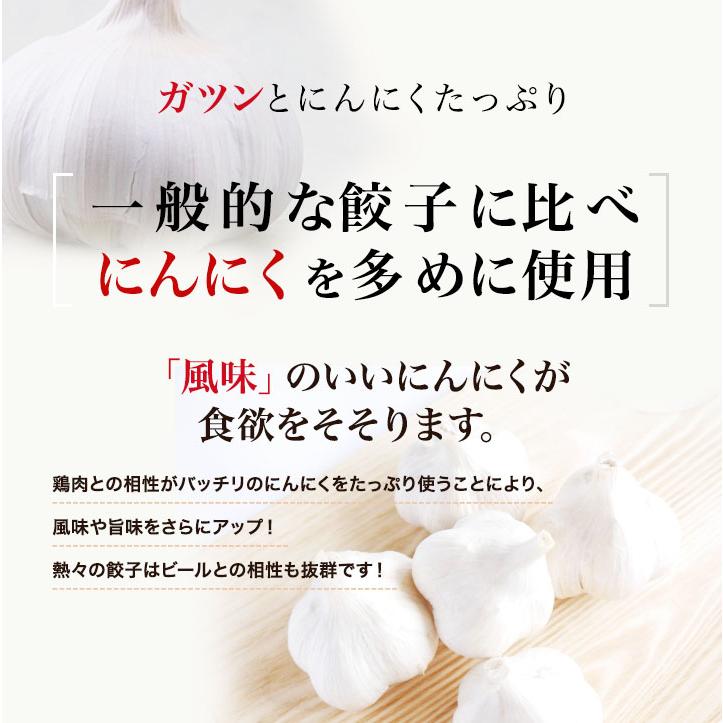 鶏餃子 ニ種を1度に食べ比べ！ 名古屋コーチン餃子  しそ餃子 餃子 しそ 冷凍餃子 生餃子 国産 鶏肉 送料無料