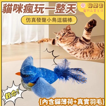 現貨/隔日達 寵物玩具 貓咪仿真小鳥玩具 寵物發聲玩具 逗貓神器 貓咪自嗨解悶玩具 發聲逗貓互動玩具 耐抓咬 貓玩具