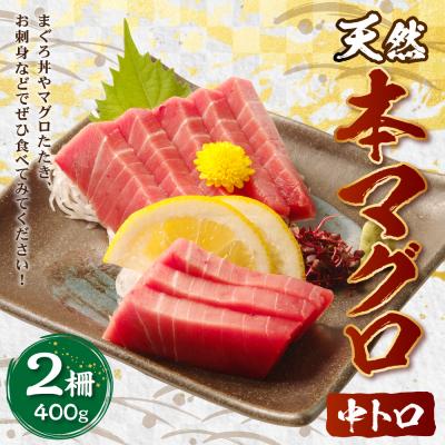 ふるさと納税 室戸市 本マグロ　中トロ　2柵(400g)