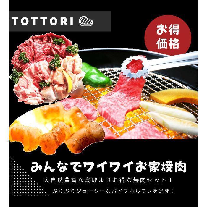 焼肉セット 1.2ｋｇ (３〜５人前） ホルモン 牛肉 豚肉 鶏肉 焼き肉 鳥取産 バーベキュー  BBQ ファミリーセット たっぷり1,2キロ 送料無料