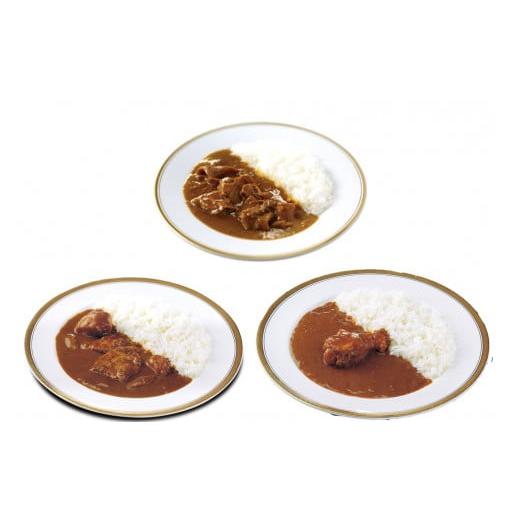 ふるさと納税 福岡県 飯塚市 工場直売「いいづかカレー」3種のカレー15食セット