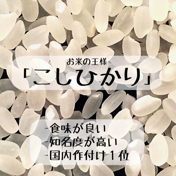 長野県産 コシヒカリ 白米 10kg 5kg×2 農家直送 送料無料 産地直送 美味しいお米 受賞農家 米食味鑑定士 東御市