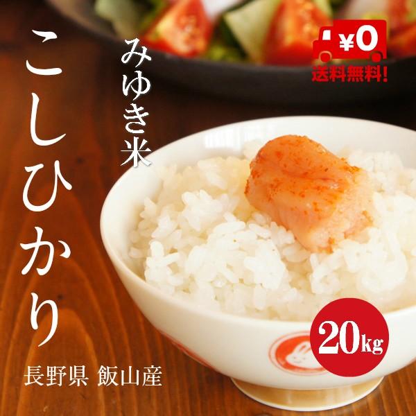 新米 令和５年産 長野県産 こしひかり 幻の米 みゆき米 １等米 白米 ２０kg