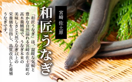 国産 備長炭手焼き 和匠うなぎの蒲焼き2尾 白焼2尾 計4尾セット