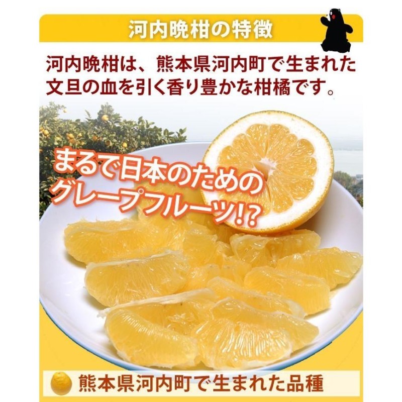 みかん 送料無料 河内晩柑 訳あり 箱込約10kg 内容量9kg + 補償分500g ...