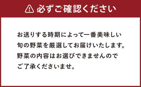 野菜 セット 8品 旬の野菜 やさい 詰合せ 詰め合わせ