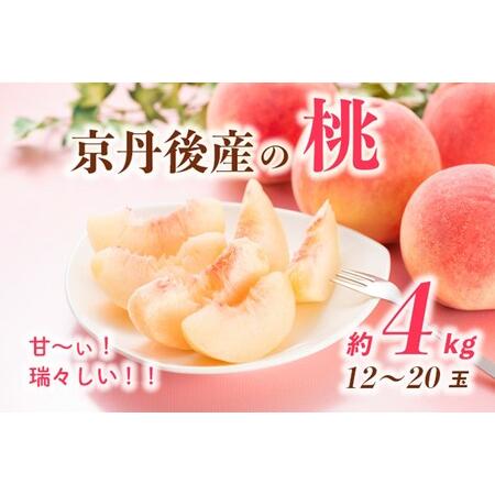 ふるさと納税 甘〜ぃ！ジューシー！！京丹後産 桃4kg（12〜20玉）(2024年7月中旬〜発送) 京都府京丹後市