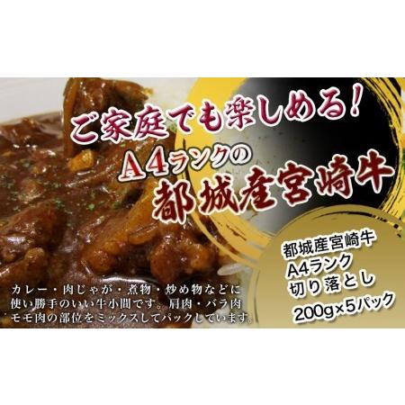 ふるさと納税 宮崎牛切り落とし1kg_MJ-2611_ (都城市) 牛肉 切り落とし 宮崎牛 和牛 国産 モモ肉 小分け 200g×5P 宮崎県都城市