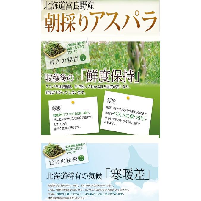 アスパラガス 北海道 富良野産 グリーン 2Lサイズ 500ｇ 送料無料