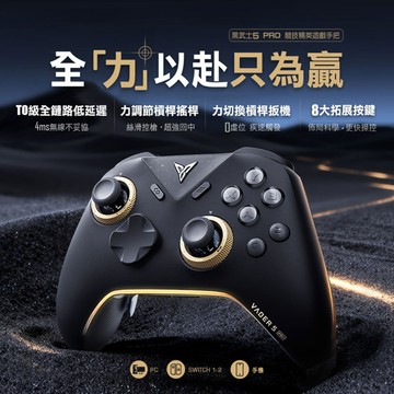 【FLYDIGI 飛智】黑武士5 PRO 競技精英手把 (國際版)