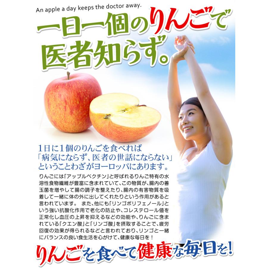 りんご 10kg 紅玉 青森産 ご家庭用 送料無料 食品