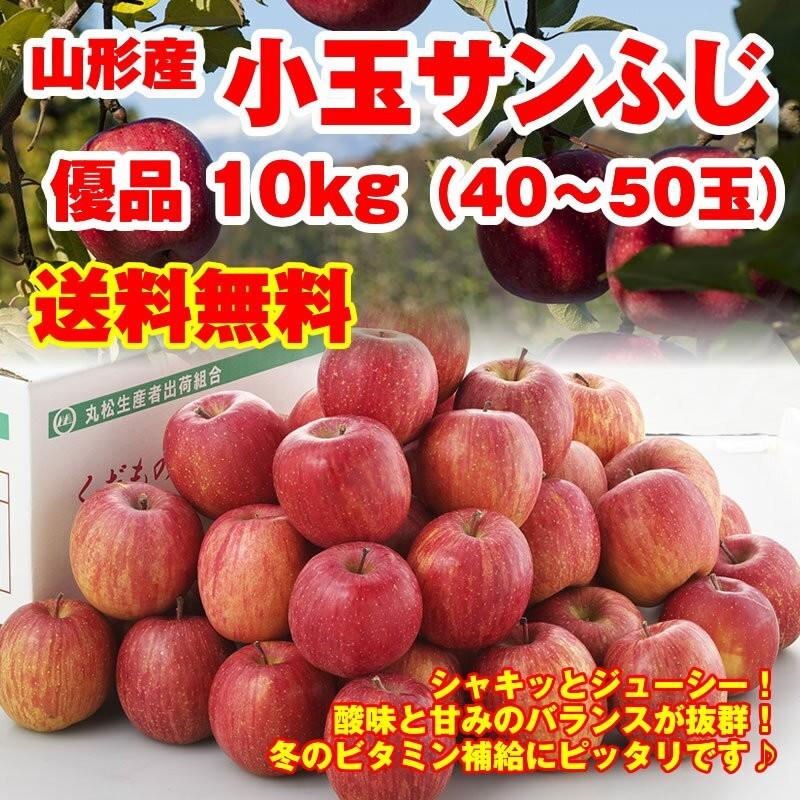 りんご 訳有り 送料無料 山形県産 小粒ふじりんご 優品 10kg （40-50玉入） ※小傷色ムラ変形あり