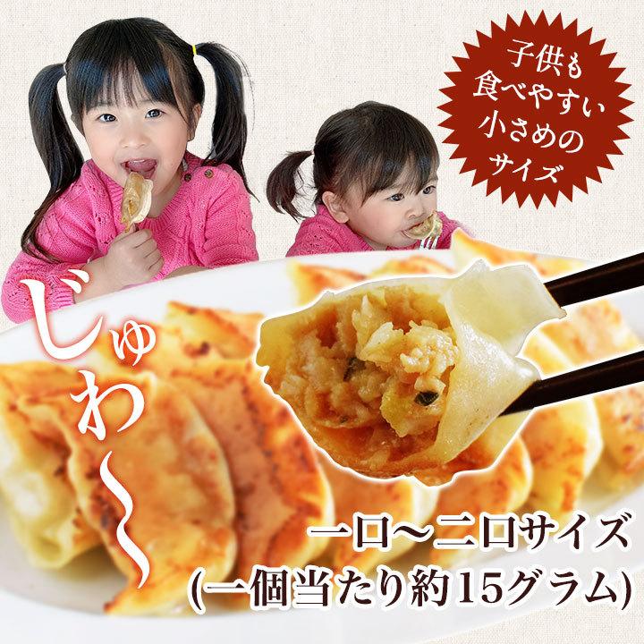 ＼おひとり様1回限り／お試しで1袋！名古屋コーチン餃子冷凍餃子 餃子 送料無料 お試し 生餃子 冷凍生餃子 食品 惣菜 中華 鶏肉