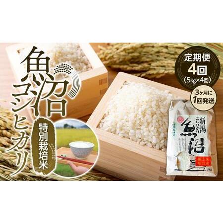 ふるさと納税 定期便４回！！魚沼コシヒカリ特別栽培米５kg×４回（３カ月に１回発送） 新潟県南魚沼市