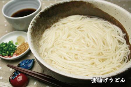 さっとできてさっと食べられる ささっとうどん 10入 (H014116)