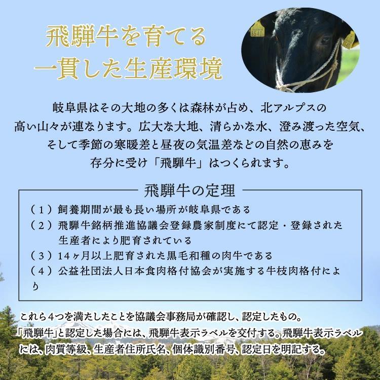 飛騨牛 すき焼き しゃぶしゃぶ用 A4A5等級 国産 和牛 霜降りロース 柔らかな肉質 国産牛 冷凍便 (400g) お肉 国産和牛 しゃぶしゃぶ 黒毛和牛