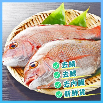 赤宗  【甲上生鮮】