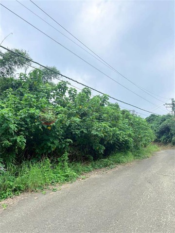 龍崎文衡殿2.6分山坡農保地A｜台南市龍崎區中坑