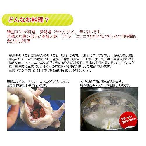 サムゲタン（参鶏湯）_若鳥丸ごと韓国宮廷料理