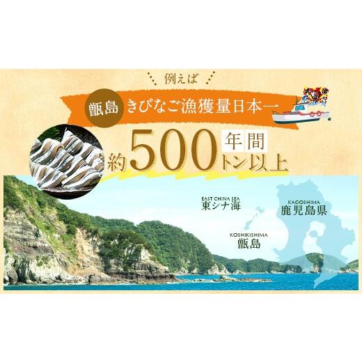 ふるさと納税 鹿児島県 薩摩川内市 AS-005 きびなご塩干1kgセット(500g×2)