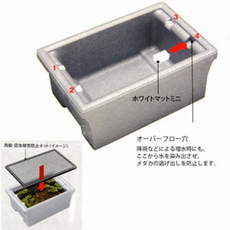 スドー メダカの発泡鉢 軽量安価発泡スチロール製 通販 Lineポイント最大1 0 Get Lineショッピング