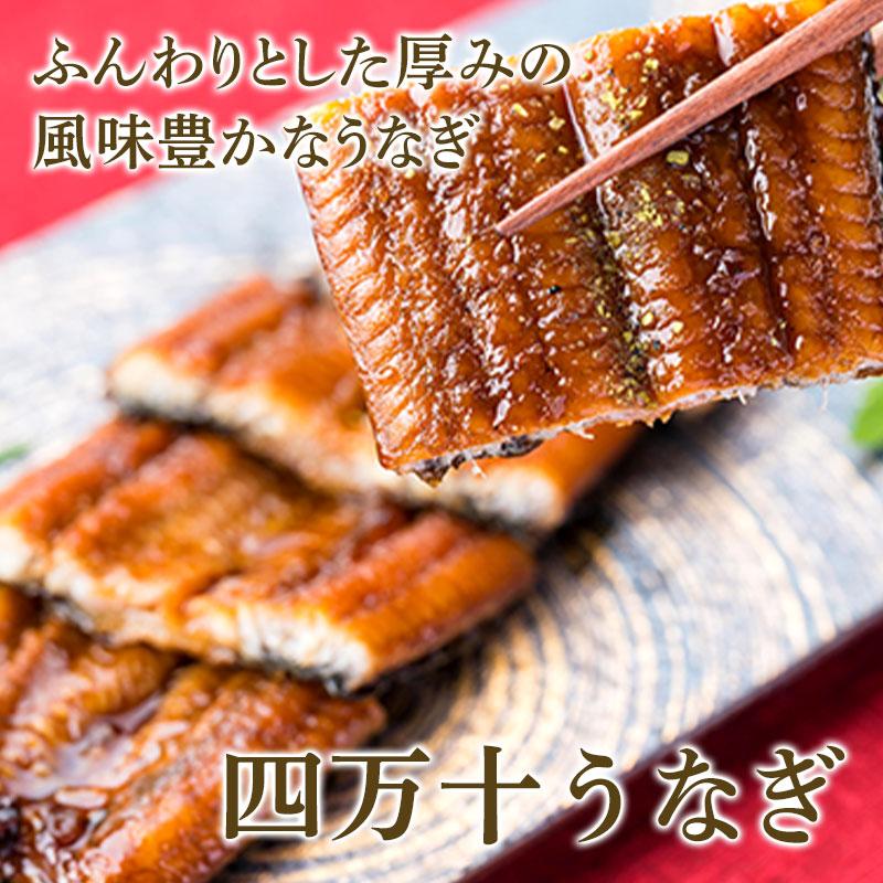 お歳暮 2023 ハマヤ 完全ワラ焼き鰹タタキ 龍馬タタキ2節(1節約350g)＋四万十うなぎ2袋セット 海鮮 カツオ うなぎ 鰹のたたき 藁焼き 送料無料 HY013 御歳暮